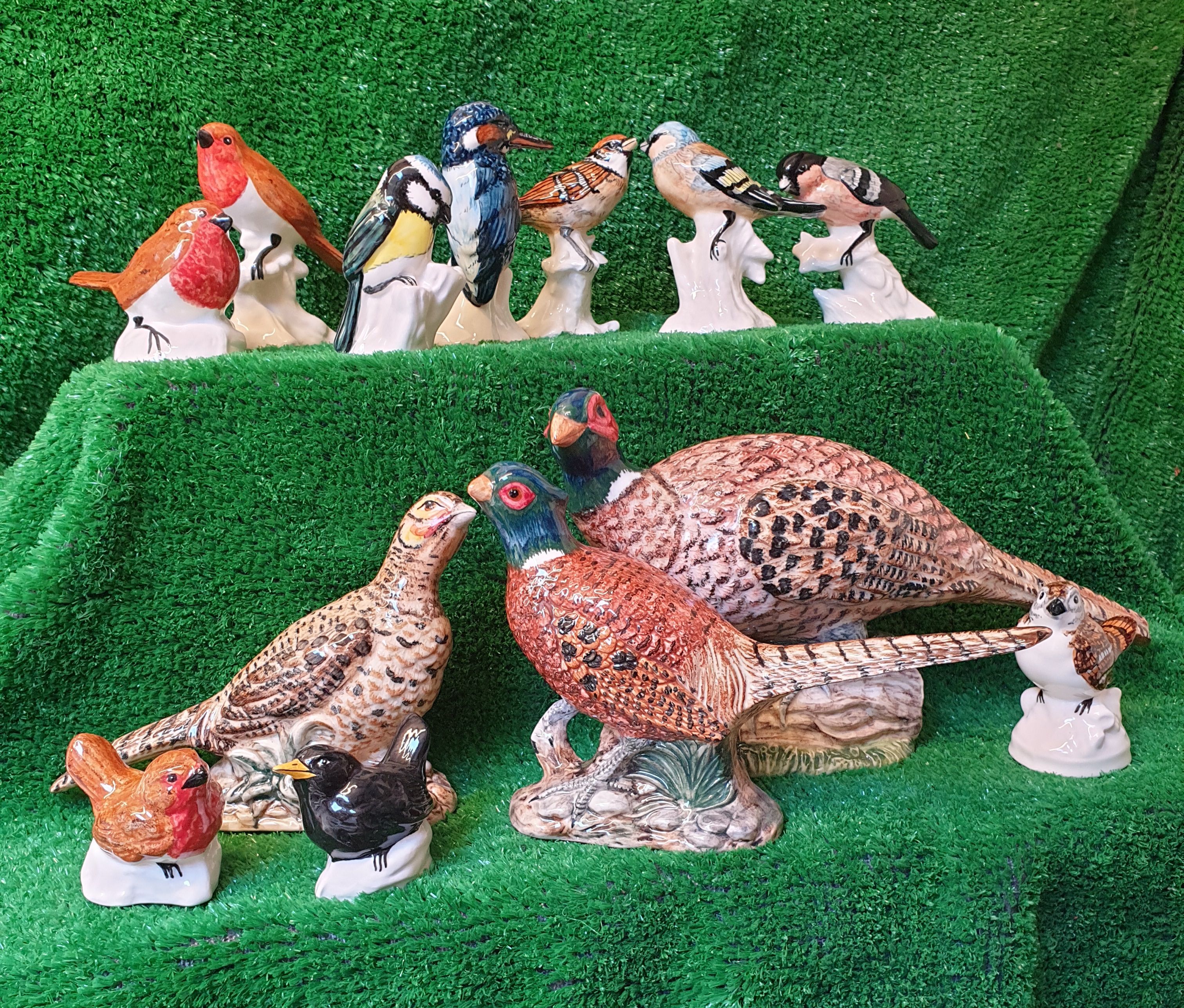 ENGLISH CERAMIC BIRDS by Babbacombe Pottery Collection